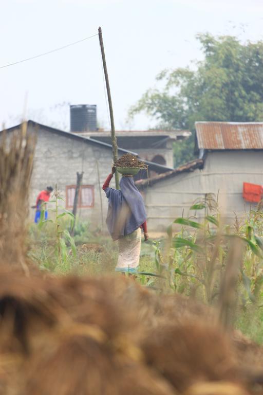 Barauli Community Homestay Chilha Exteriér fotografie