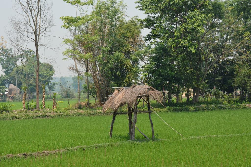 Barauli Community Homestay Chilha Exteriér fotografie